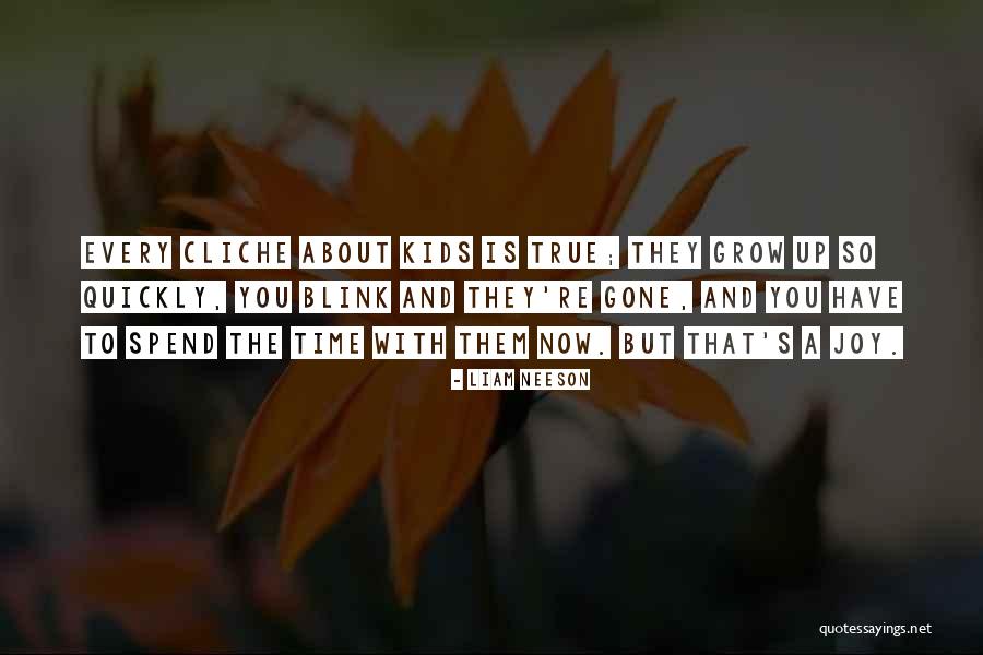 Meitler Study Quotes By Liam Neeson Meitler Study Quotes By Liam Neeson