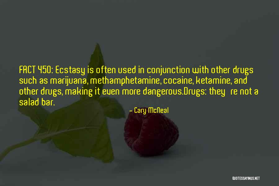 Meitner Quotes By Cary McNeal Meitner Quotes By Cary McNeal