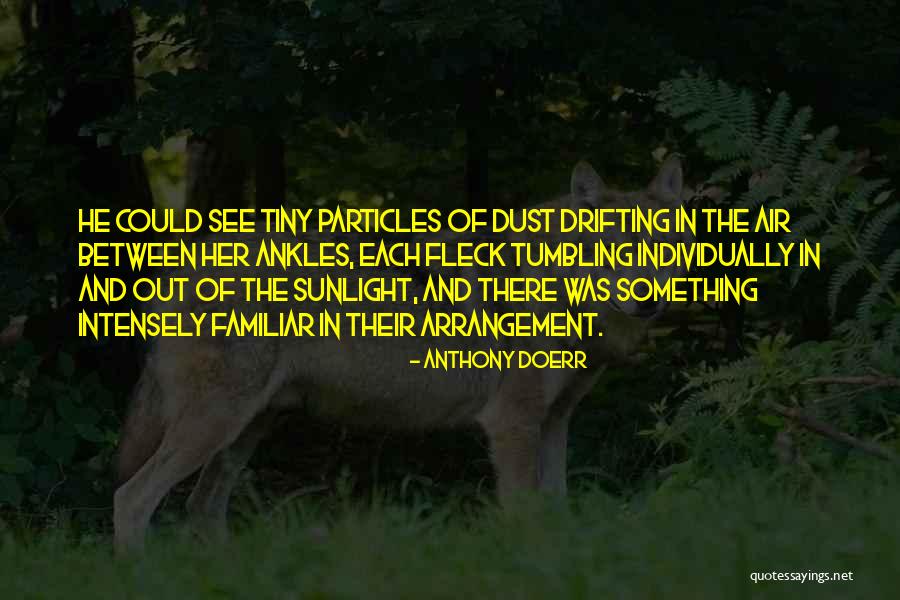 Mejoras Enfocadas Quotes By Anthony Doerr Mejoras Enfocadas Quotes By Anthony Doerr