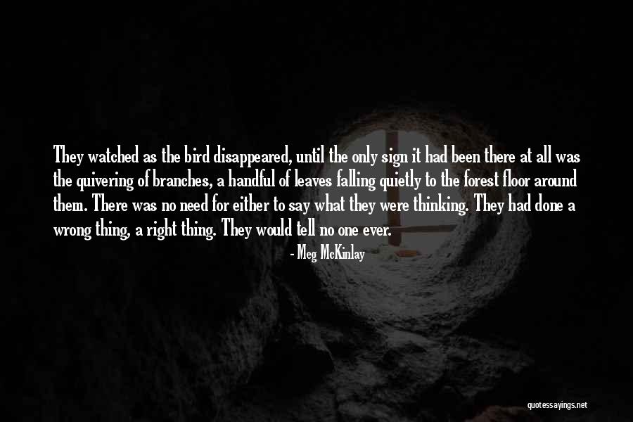Mekanika Quotes By Meg McKinlay Mekanika Quotes By Meg McKinlay
