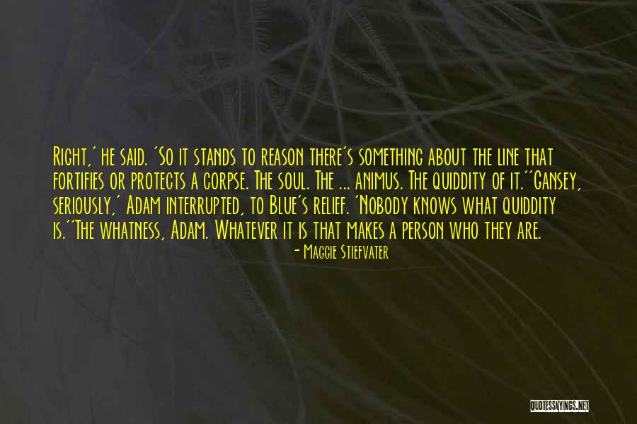 Mekanizmalar Quotes By Maggie Stiefvater Mekanizmalar Quotes By Maggie Stiefvater
