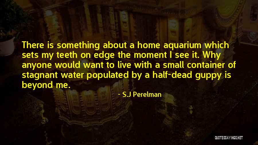 Mekasu Quotes By S.J Perelman Mekasu Quotes By S.J Perelman