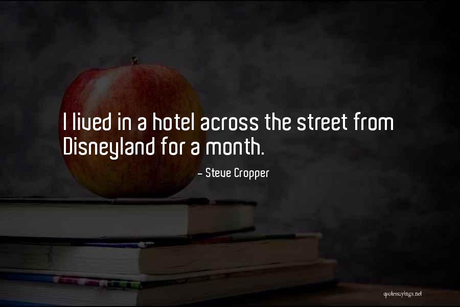 Mekki Hedgehog Quotes By Steve Cropper Mekki Hedgehog Quotes By Steve Cropper