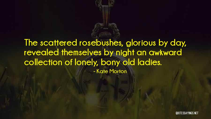 Meksikanci Quotes By Kate Morton Meksikanci Quotes By Kate Morton
