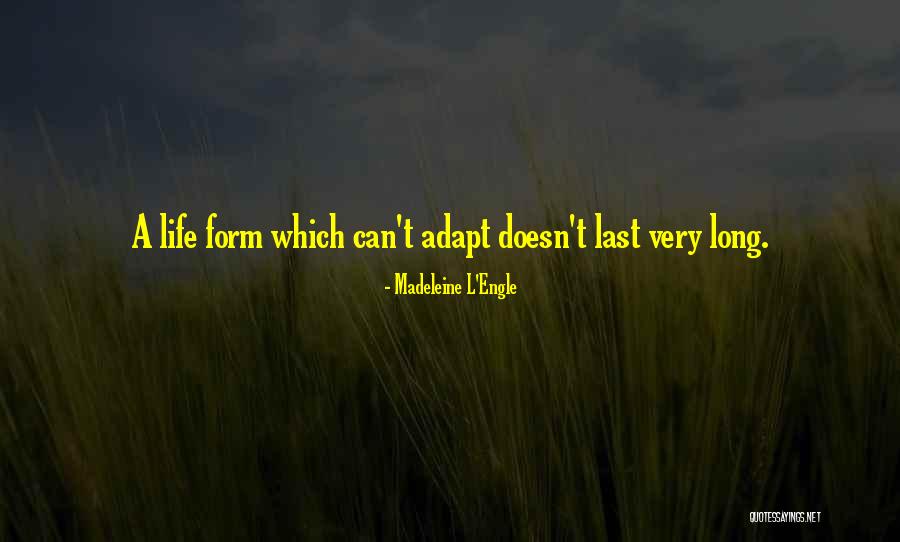 Mektup Nasil Quotes By Madeleine L'Engle Mektup Nasil Quotes By Madeleine L'Engle