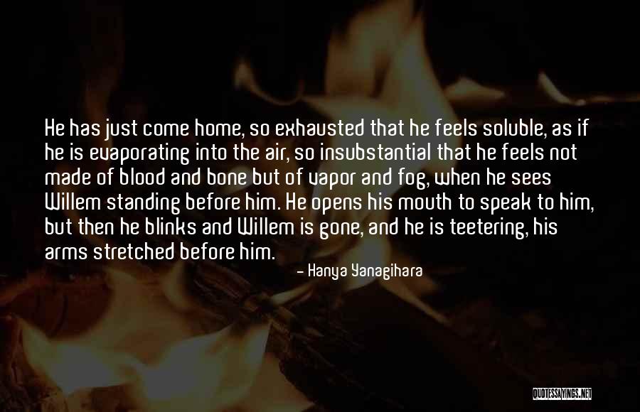 Mel Profitt Quotes By Hanya Yanagihara Mel Profitt Quotes By Hanya Yanagihara