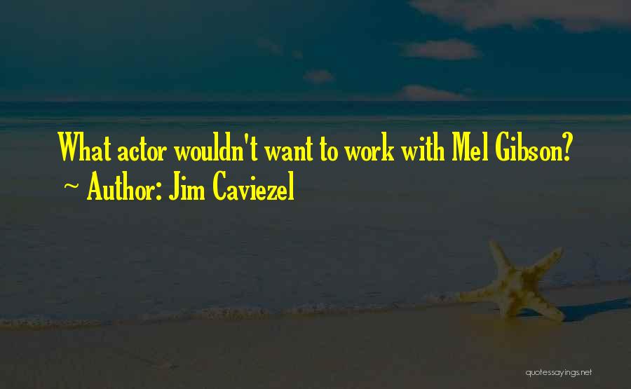 Mel Quotes By Jim Caviezel