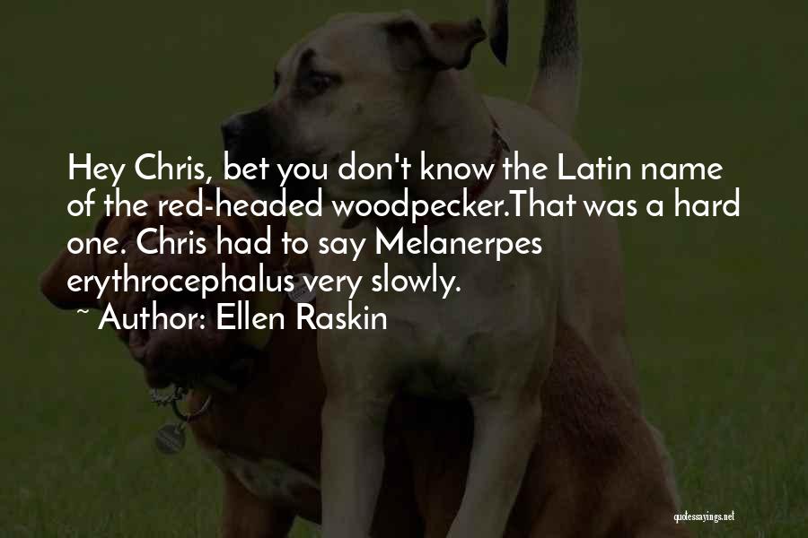 Melanerpes Woodpecker Quotes By Ellen Raskin