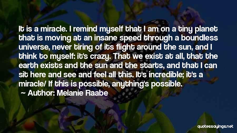 Melanie Raabe Quotes 849316