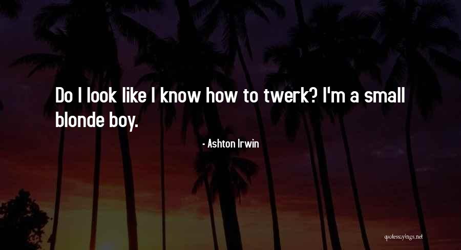 Melanney Quotes By Ashton Irwin