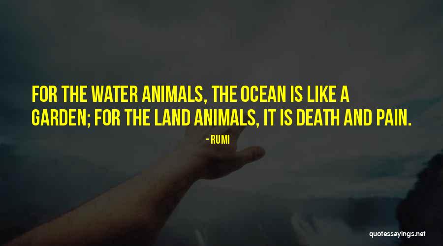 Melberg Farms Quotes By Rumi Melberg Farms Quotes By Rumi
