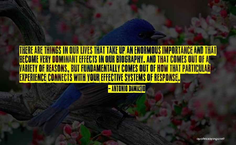 Melbournes Best Quotes By Antonio Damasio Melbournes Best Quotes By Antonio Damasio