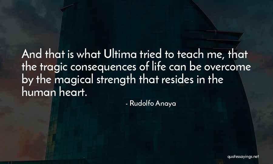 Melchester Quotes By Rudolfo Anaya Melchester Quotes By Rudolfo Anaya