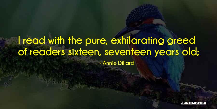 Melching Inc Quotes By Annie Dillard Melching Inc Quotes By Annie Dillard