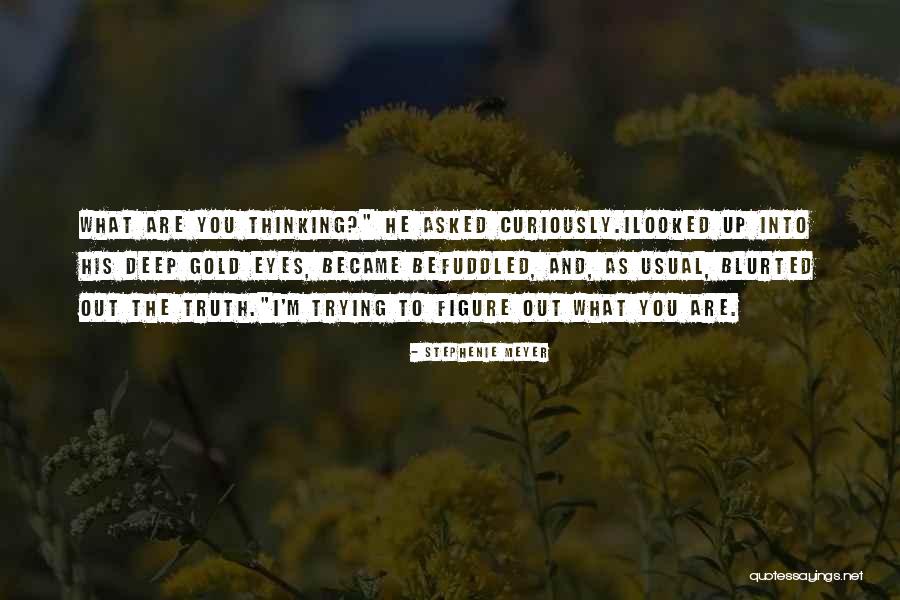 Melchiorri Spoleto Quotes By Stephenie Meyer Melchiorri Spoleto Quotes By Stephenie Meyer