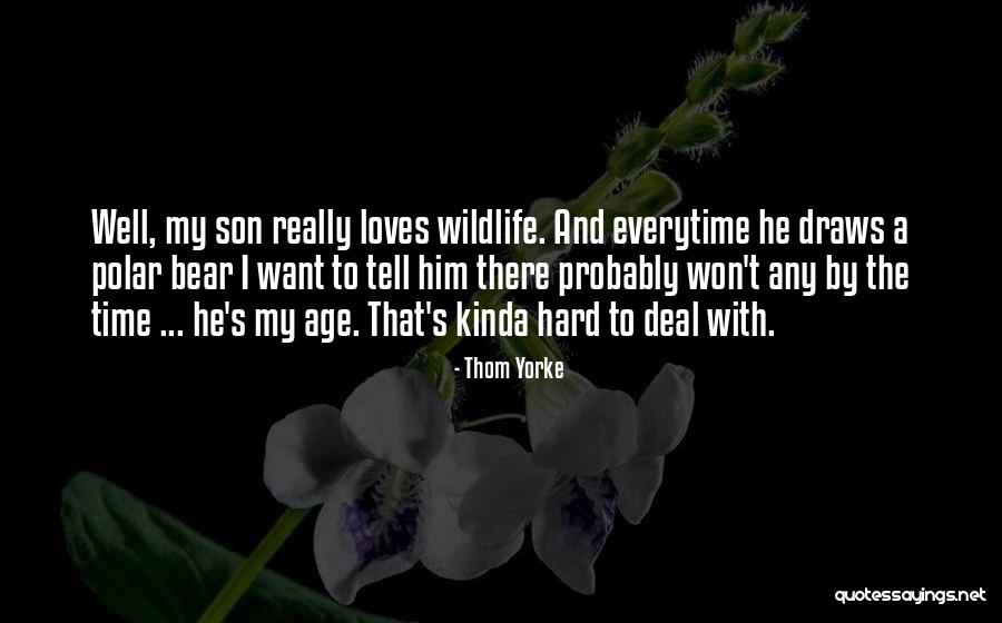 Melcul Poezie Quotes By Thom Yorke Melcul Poezie Quotes By Thom Yorke