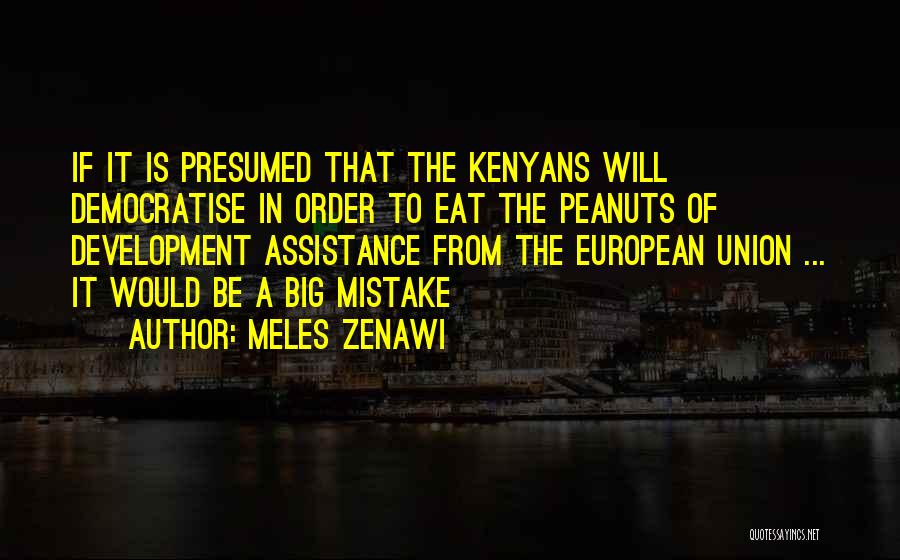 Meles Zenawi Quotes 1282921