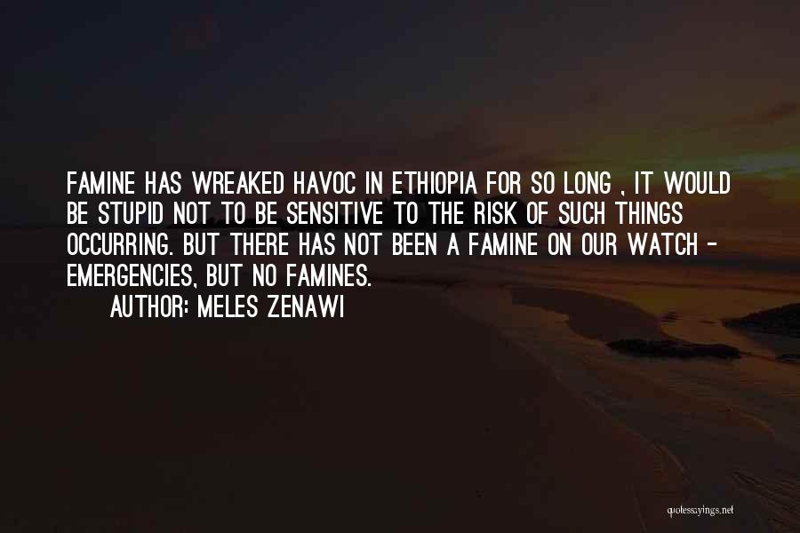 Meles Zenawi Quotes 1997152
