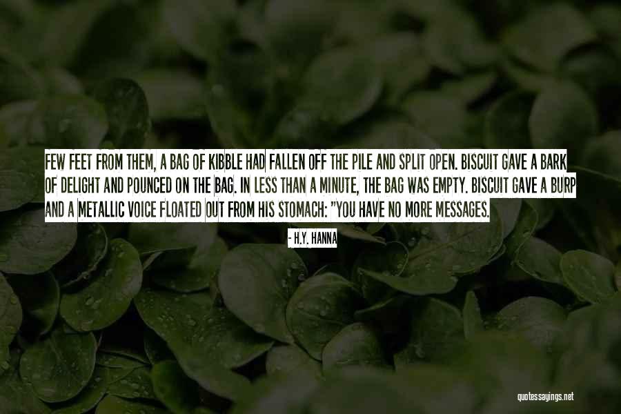 Meleven Quotes By H.Y. Hanna Meleven Quotes By H.Y. Hanna