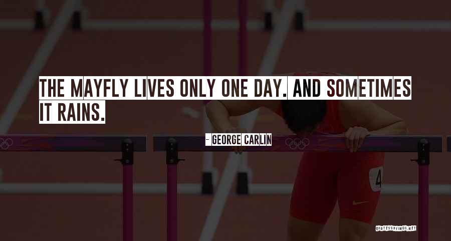 Melhus Property Quotes By George Carlin Melhus Property Quotes By George Carlin
