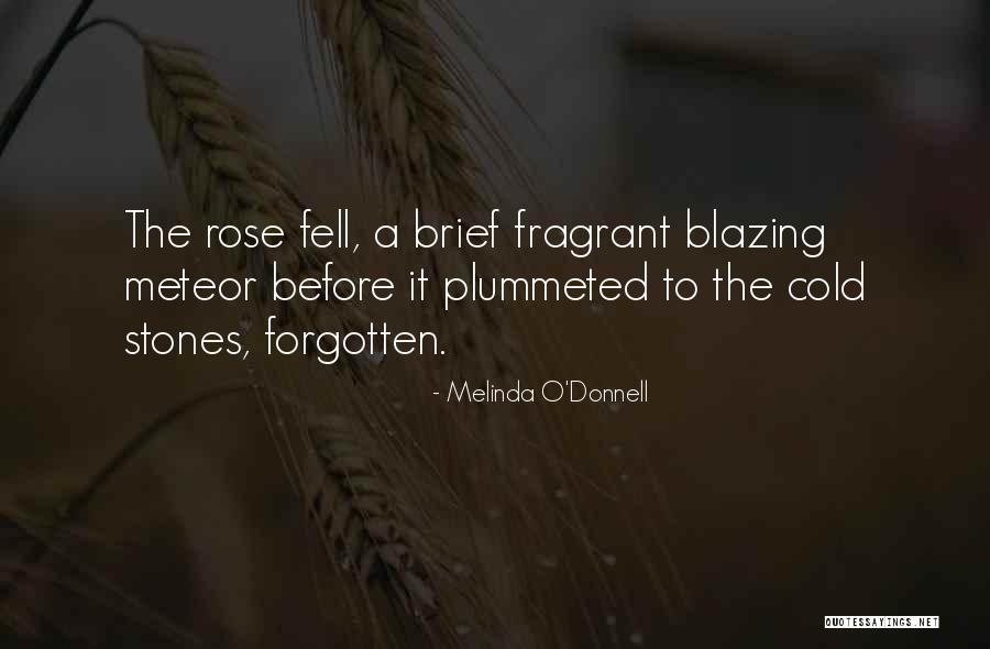 Melinda O'Donnell Quotes 104580 Melinda O'Donnell Quotes 104580