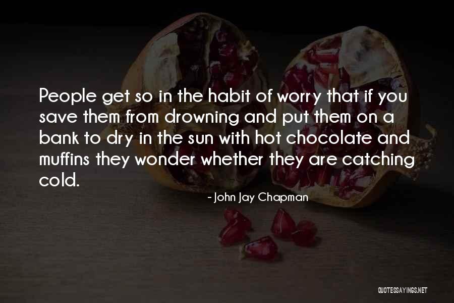 Meliukkan Quotes By John Jay Chapman Meliukkan Quotes By John Jay Chapman