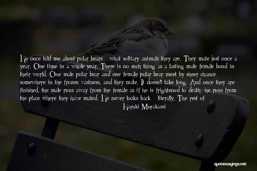 Mellerowicz Wyandotte Quotes By Haruki Murakami Mellerowicz Wyandotte Quotes By Haruki Murakami