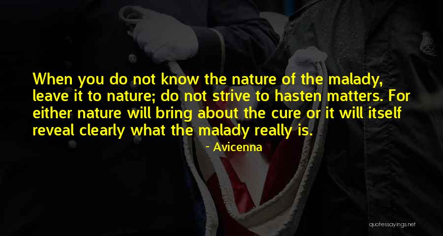 Mellingen Schule Quotes By Avicenna Mellingen Schule Quotes By Avicenna