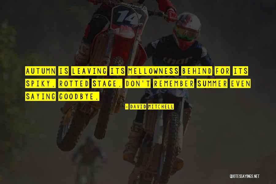 Mellowness Quotes By David Mitchell Mellowness Quotes By David Mitchell