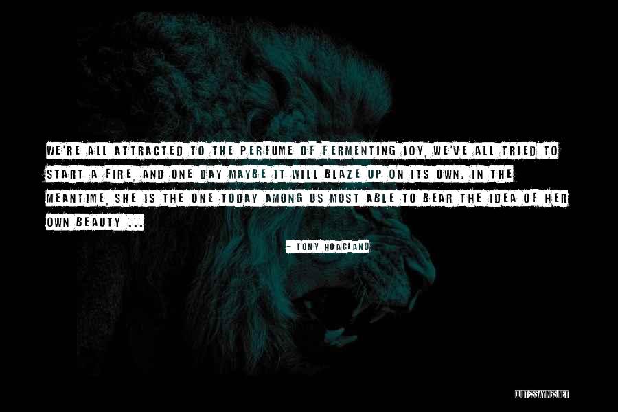 Melluso Uk Quotes By Tony Hoagland Melluso Uk Quotes By Tony Hoagland