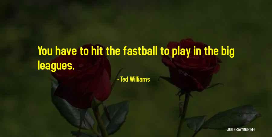 Melnikova Itf Quotes By Ted Williams Melnikova Itf Quotes By Ted Williams