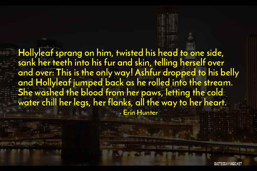 Meloday Quotes By Erin Hunter Meloday Quotes By Erin Hunter
