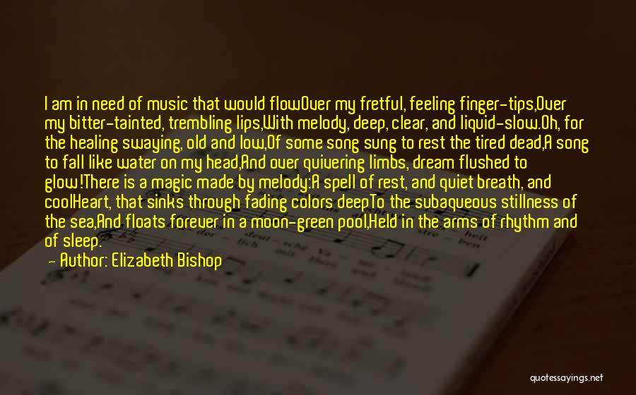 Melody And Rhythm Quotes By Elizabeth Bishop