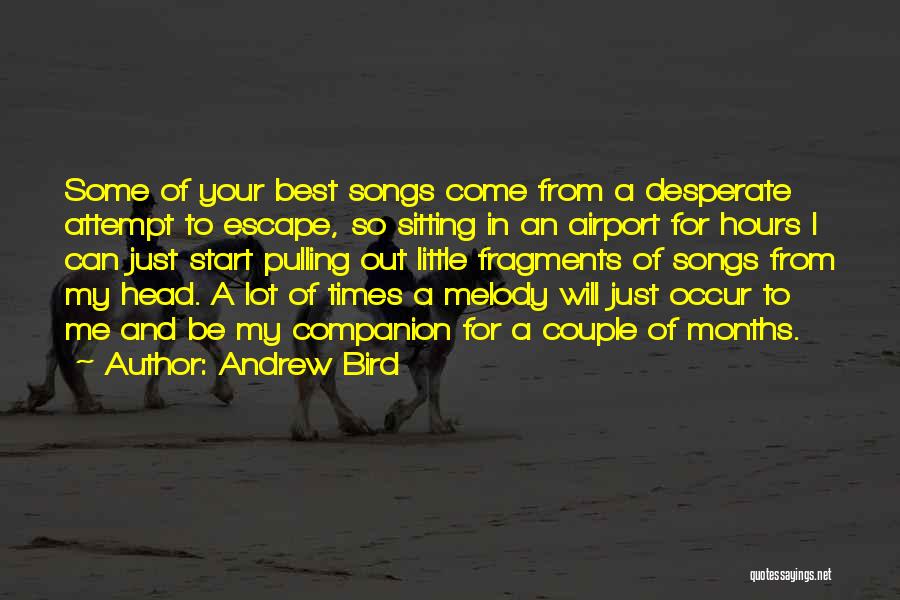 Melody Songs Quotes By Andrew Bird