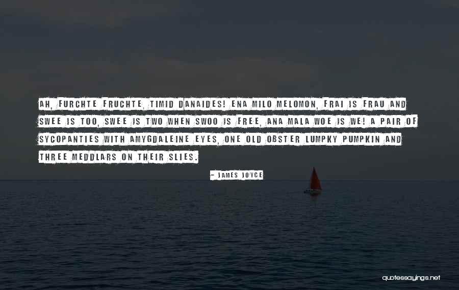 Melomon Quotes By James Joyce Melomon Quotes By James Joyce