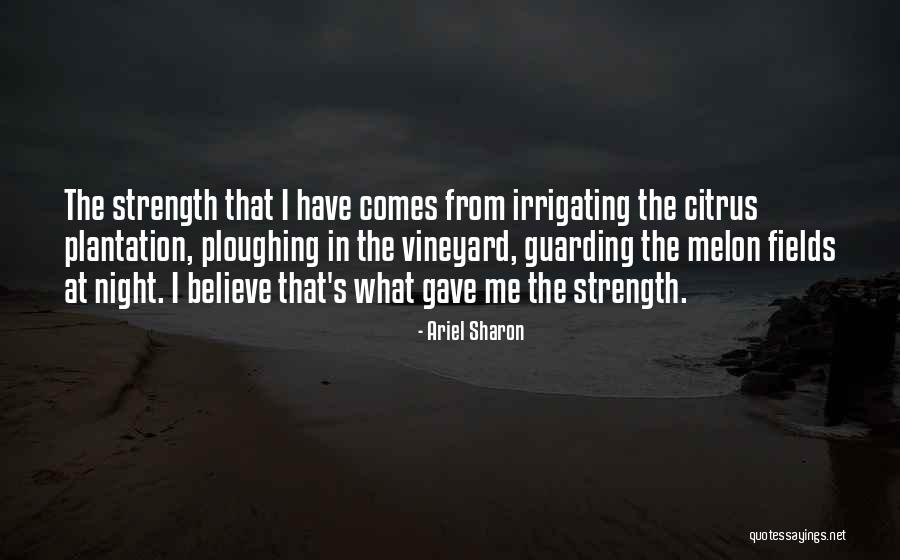 Melon Quotes By Ariel Sharon Melon Quotes By Ariel Sharon