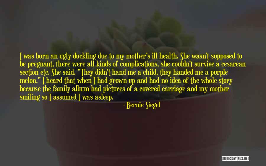 Melon Quotes By Bernie Siegel Melon Quotes By Bernie Siegel