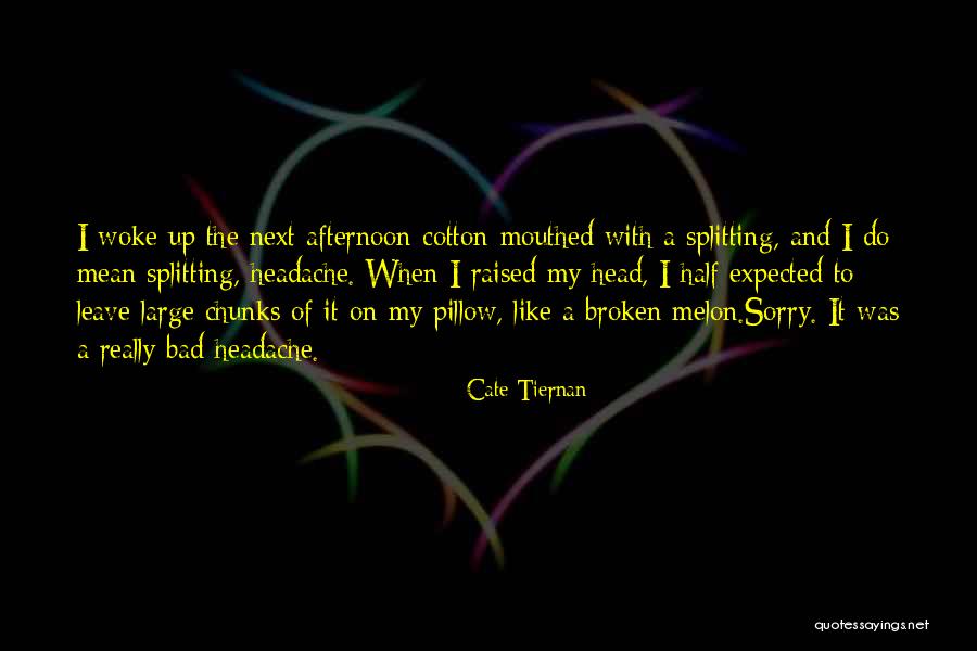 Melon Quotes By Cate Tiernan Melon Quotes By Cate Tiernan