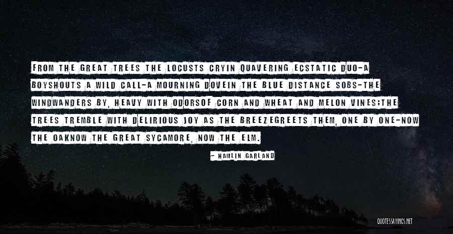Melon Quotes By Hamlin Garland Melon Quotes By Hamlin Garland