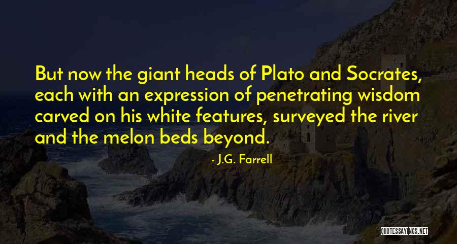 Melon Quotes By J.G. Farrell Melon Quotes By J.G. Farrell