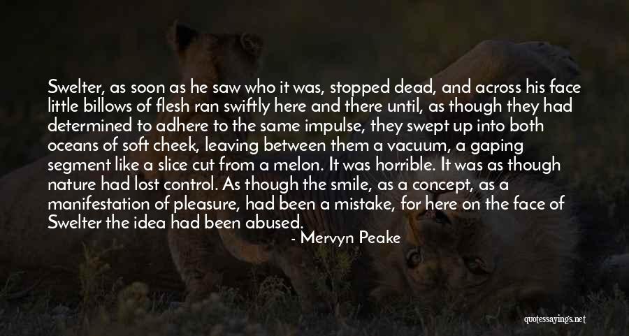 Melon Quotes By Mervyn Peake Melon Quotes By Mervyn Peake