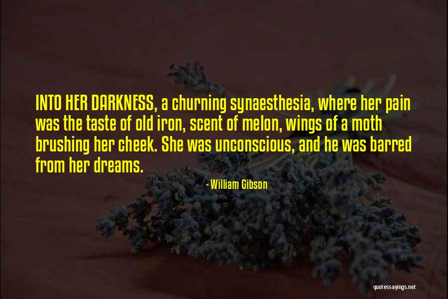 Melon Quotes By William Gibson Melon Quotes By William Gibson