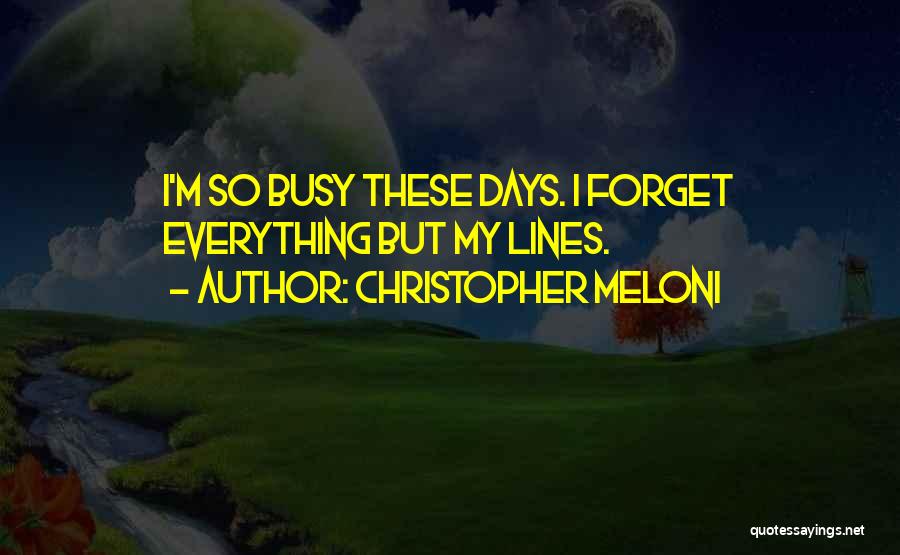 Meloni Quotes By Christopher Meloni