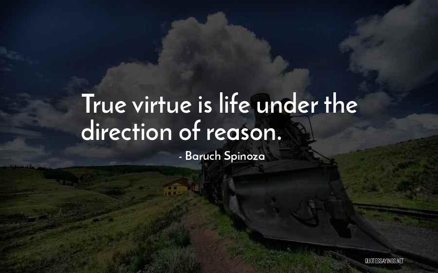 Melons Tube Quotes By Baruch Spinoza