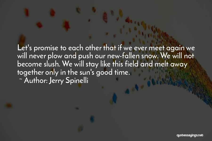 Melt Away Quotes By Jerry Spinelli