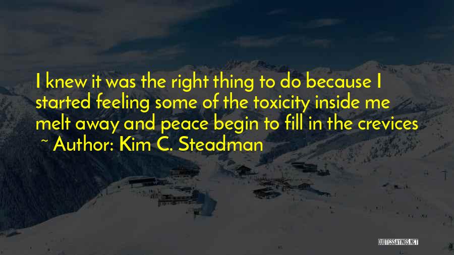 Melt Away Quotes By Kim C. Steadman