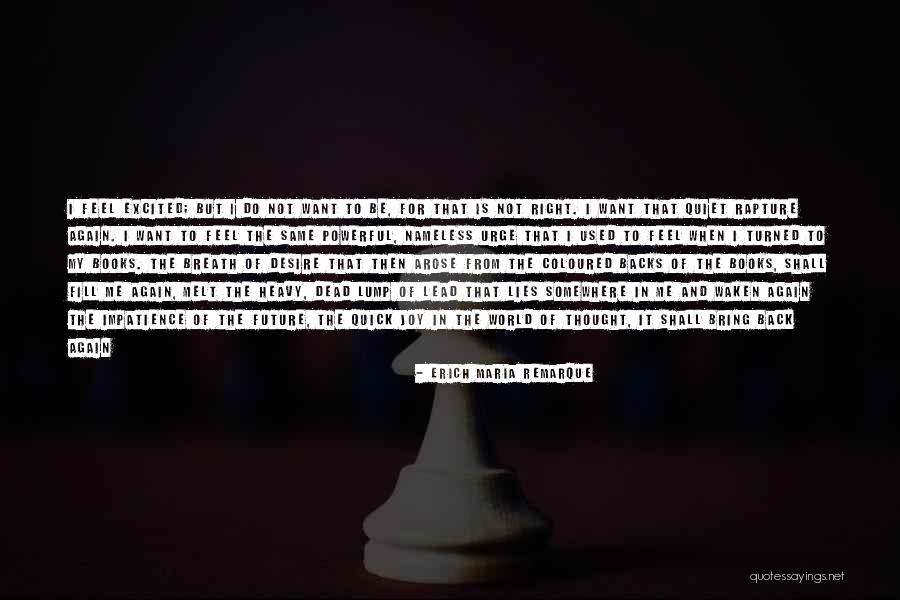 Melt Me Quotes By Erich Maria Remarque Melt Me Quotes By Erich Maria Remarque