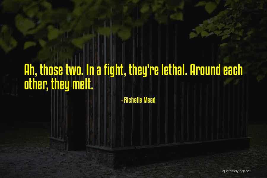 Melt Quotes By Richelle Mead Melt Quotes By Richelle Mead
