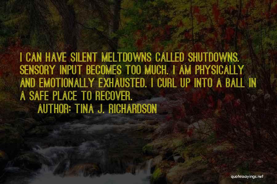 Meltdowns Quotes By Tina J. Richardson