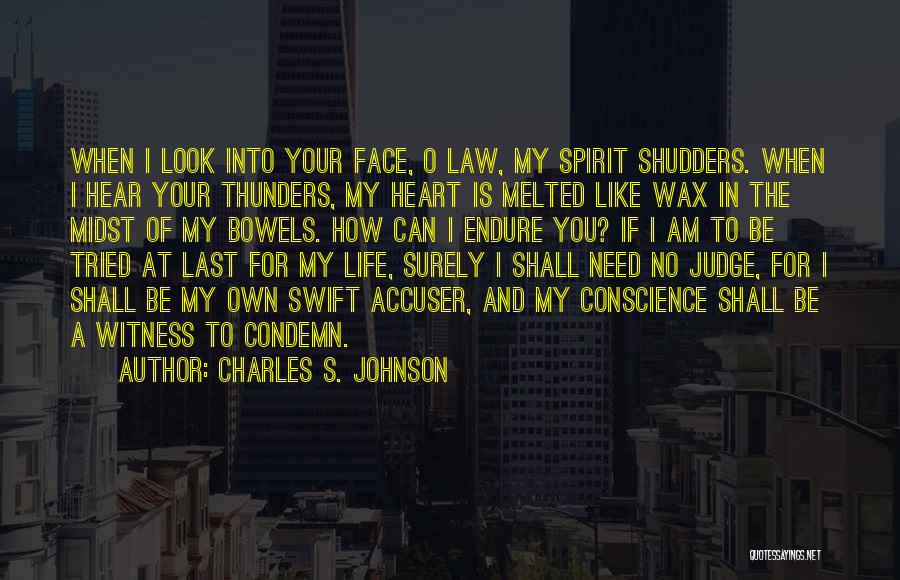 Melted My Heart Quotes By Charles S. Johnson